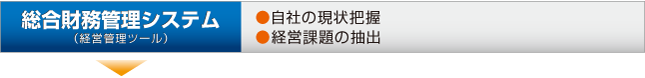 ̳ƥ